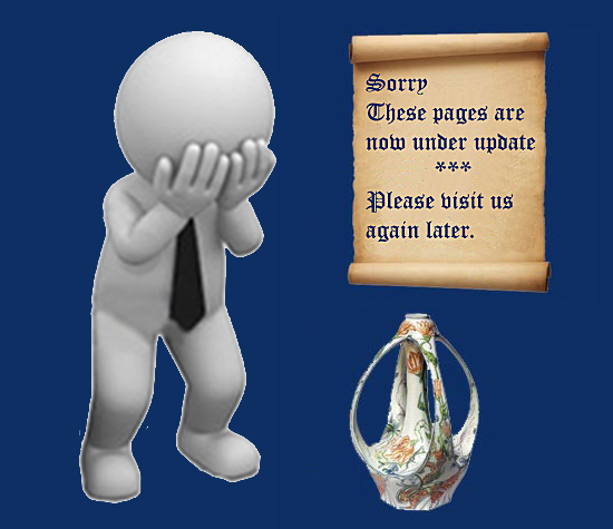 Pagina onder constructie